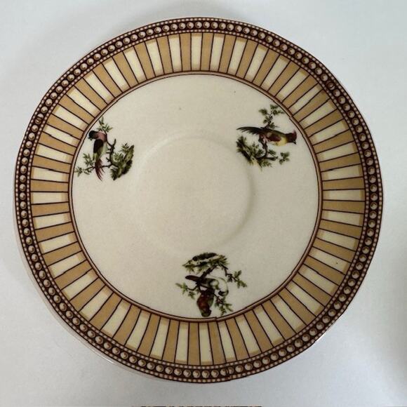 Burton & Burton Birds of Beauty Porcelain Tea Cup & Saucer Bird Center, Geo Rim - Picture 12 of 16